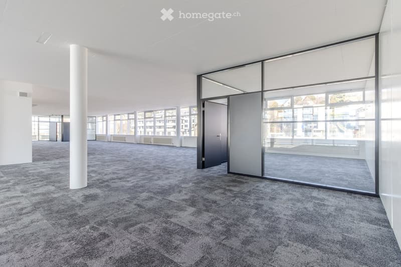 empty room, gray carpet, glass walls, white walls, central column