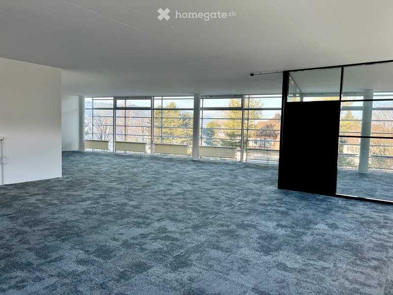 Spacious room, glass windows, large and bright, carpet flooring