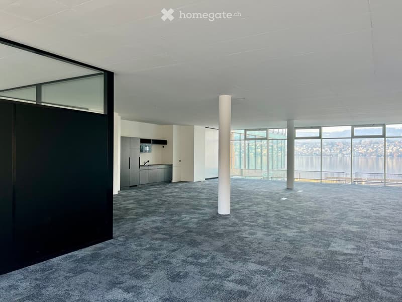 large open room, modern design, carpeted floor, white ceiling, glass partition, kitchen area, view of a lake and city