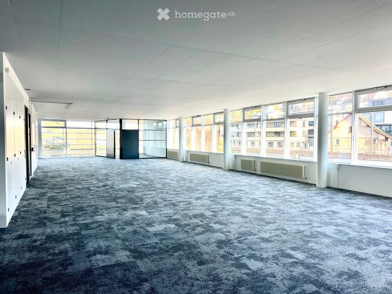 large room, white walls, gray carpet, glass doors, large windows