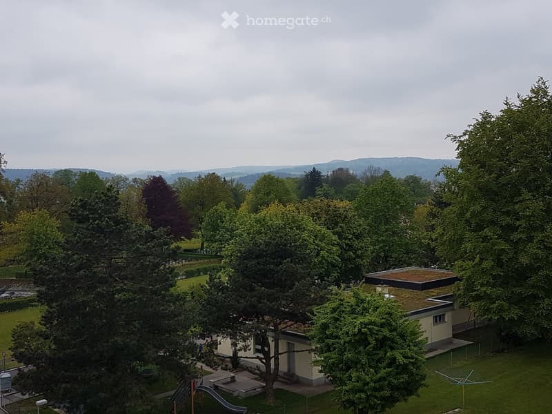 House with green roof, surrounded by trees and grass, slide in the garden, mountains in the background