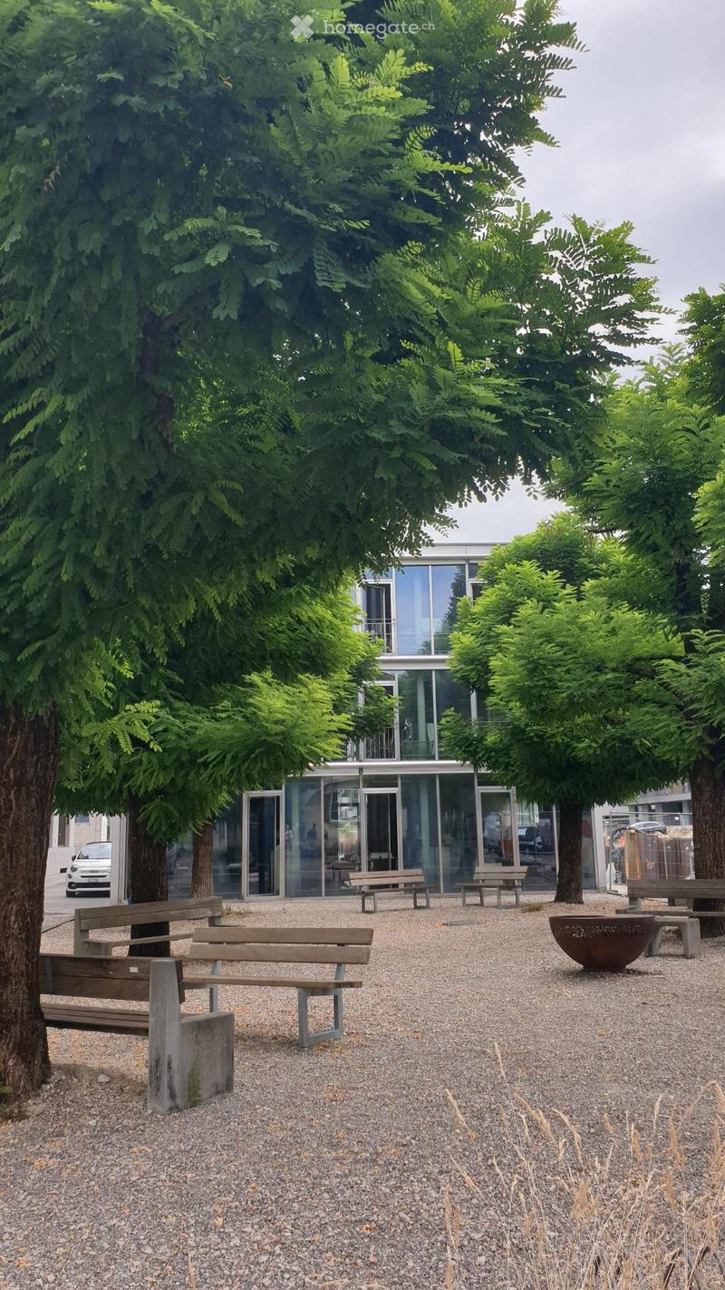 trees, benches, and a small fire pit, modern architecture building in the background