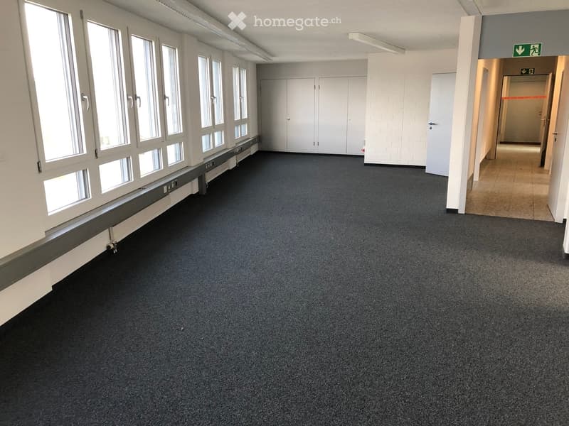large empty room, multiple large windows, white walls, carpeted floor, fluorescent lighting, doors