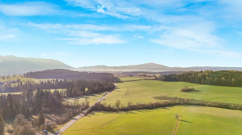 Aerial view of a green field with trees, mountains in the distance, road