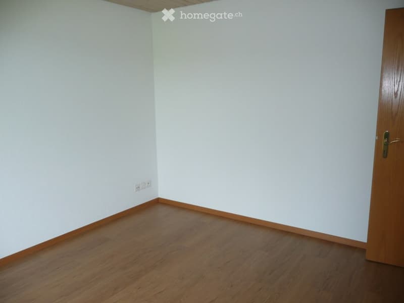 {"output":    {    "visible_features": [],    "type": "Room",    "description": "empty room, white walls, wooden floor, white outlet on wall, wooden door",    "localized_descriptions":        {        "EN": "empty room, white walls, wooden floor, w
