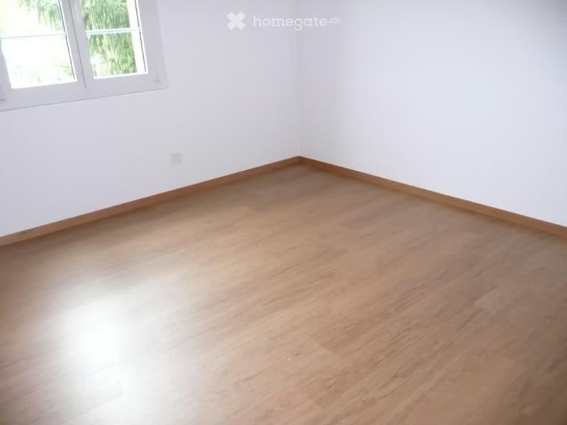 {"visible_features": [],    "type": "Room",    "description": "Empty room with white walls, wooden floor, two windows, and a power outlet on the wall.",    "localized_descriptions":        {        "EN": "Empty room with white walls, wooden floor, tw