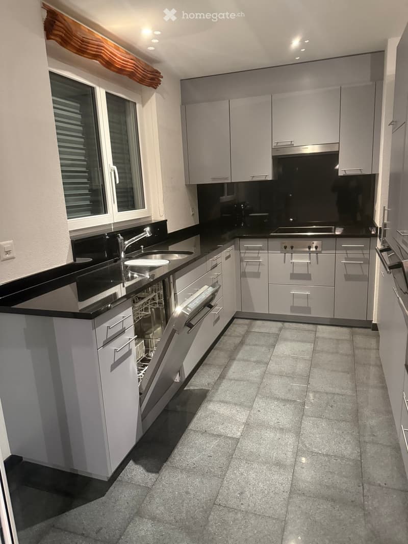 modern gray kitchen, black countertops, stainless steel dishwasher, kitchen sink, under cabinet lighting, window, modern appliances