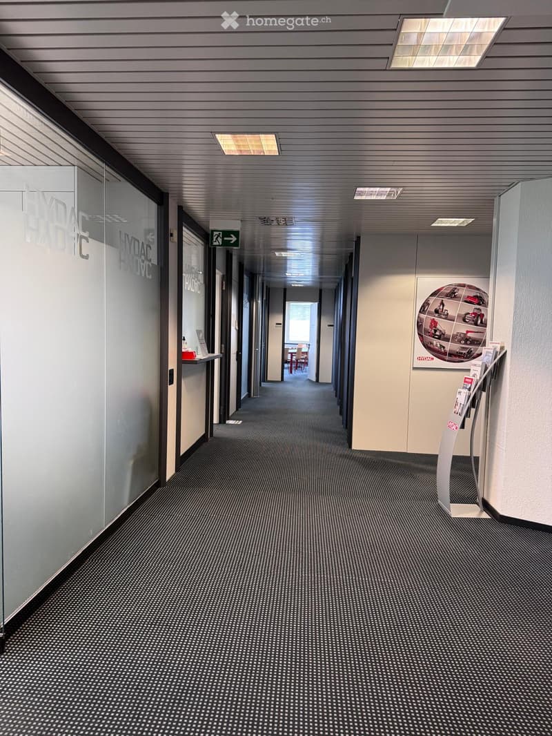 empty long corridor with glass doors on both sides and a carpeted floor