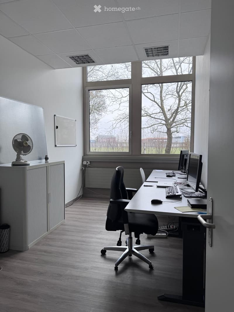 office desk, computer monitor, chair, cabinet, whiteboard, radiator, window, trash bin, wall socket