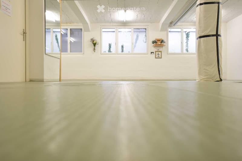 empty room with white walls, gray floor, windows, flower vase, and ceiling lights