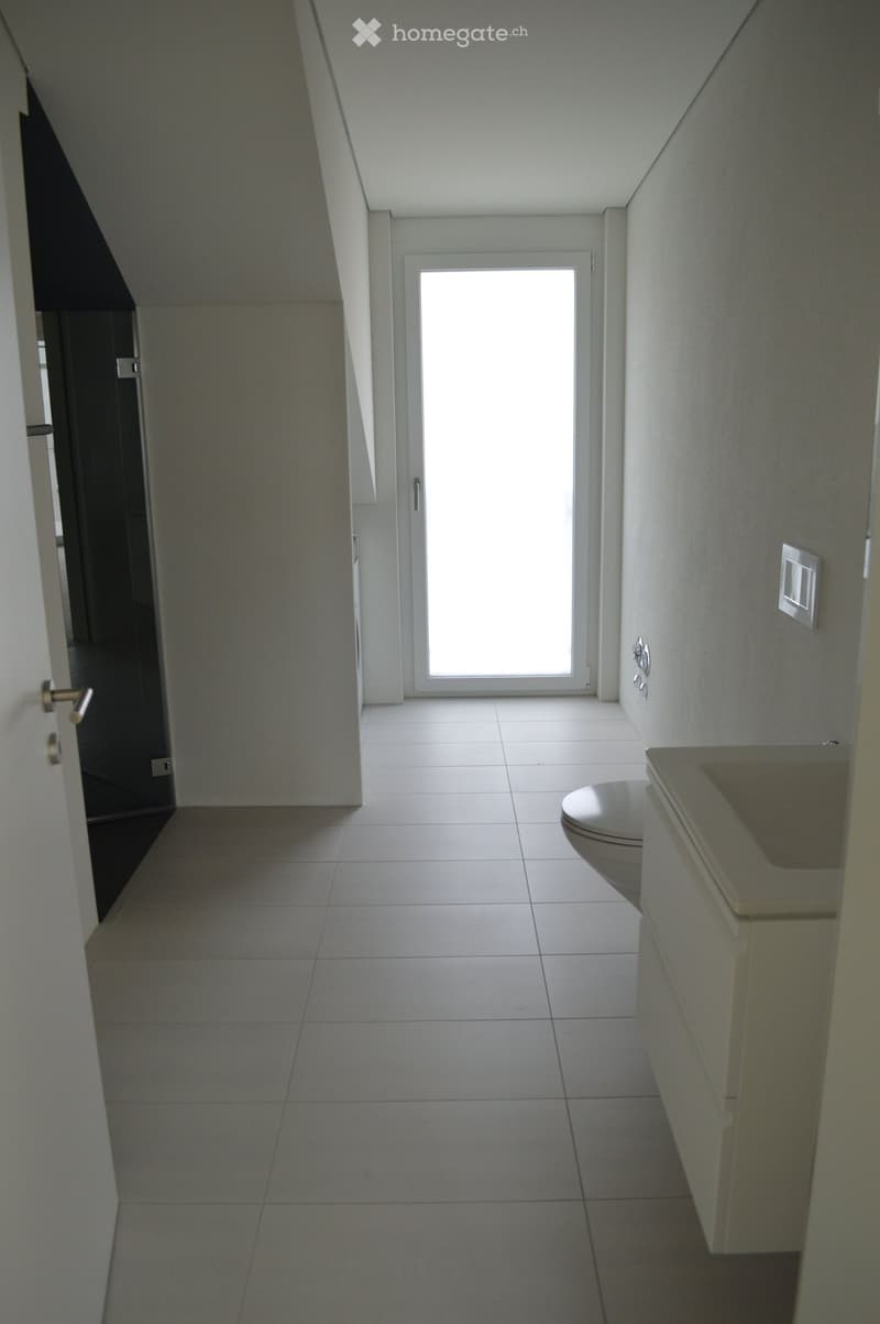 white walls, white tiles, white door, white window, white toilet, white cabinet