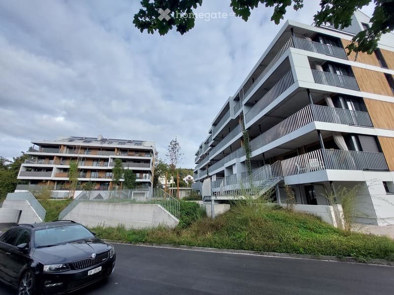 Modern buildings with balconies, metal railings, glass windows, gray and brown colors, grass, trees, cars, cloudy sky