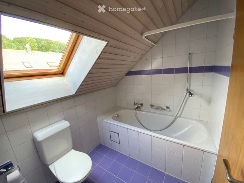 Bathroom with white and blue tiles, bathtub, shower, toilet, skylight