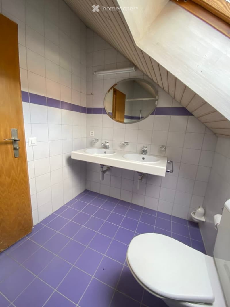 Double sink, mirror, toilet, shower tray, toilet roll holder, wooden door