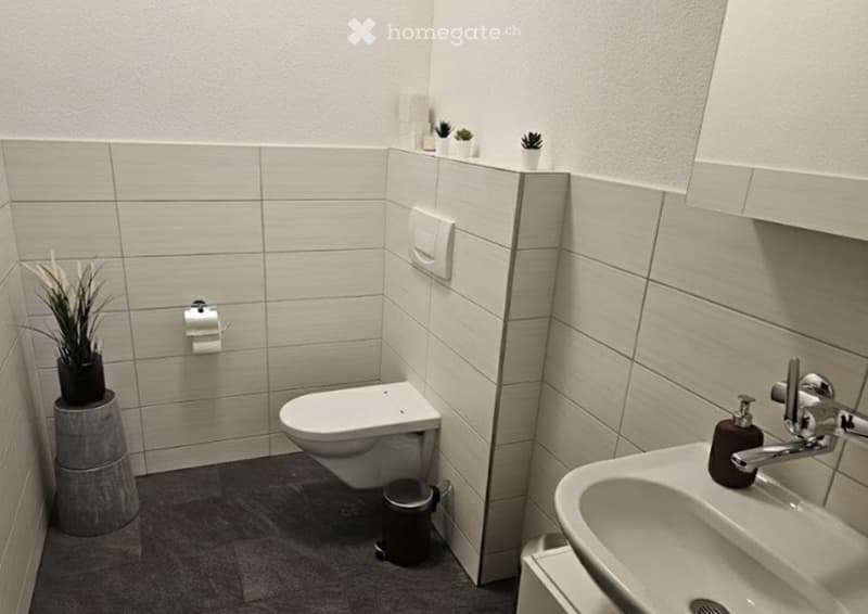 white tiled walls, white bowl-shaped sink, white floor-standing toilet, small trash can, potted plant