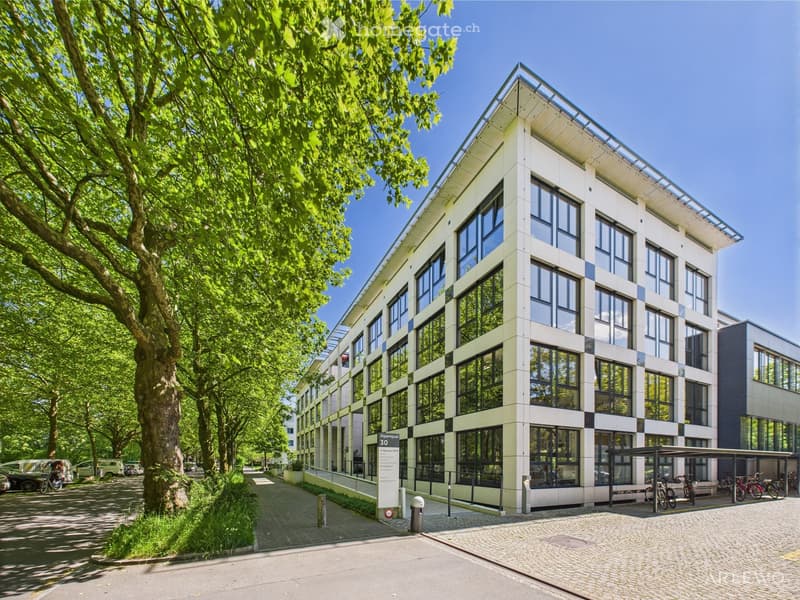 large multistory office building with glass facade, located in a well-kept urban area, surrounded by greenery and trees, with a paved sidewalk, a car park, and a bicycle stand