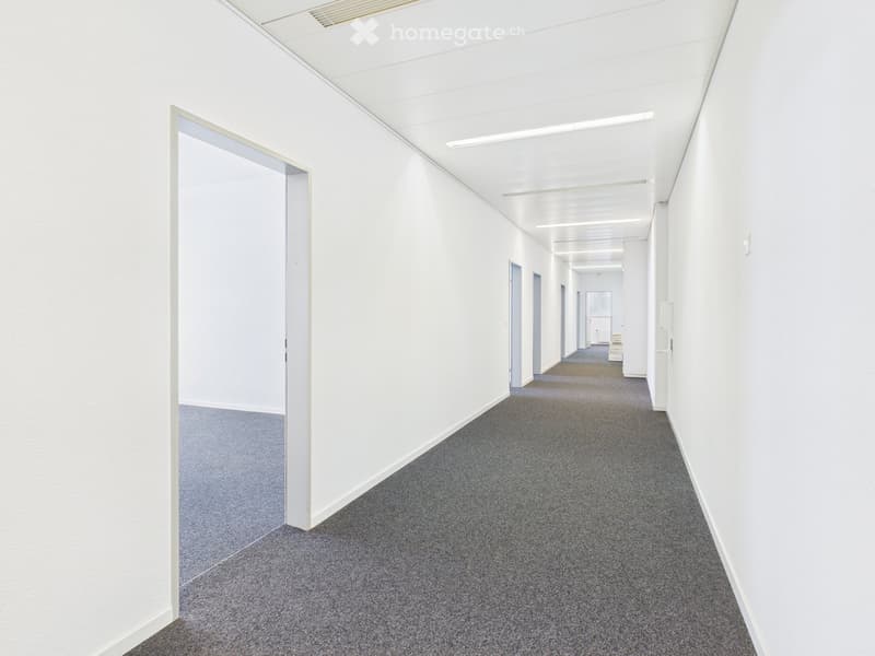 Empty hallway with white walls, gray carpet, and doors on both sides.