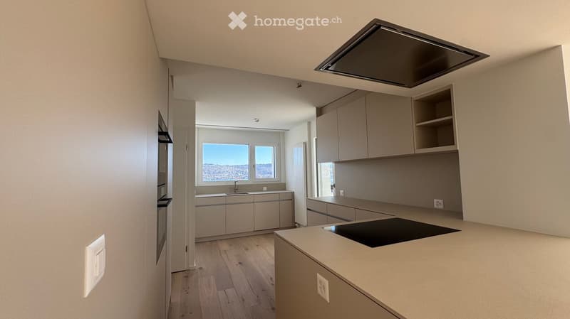 Kitchen with modern cabinets, built-in oven, dishwasher, and large windows.