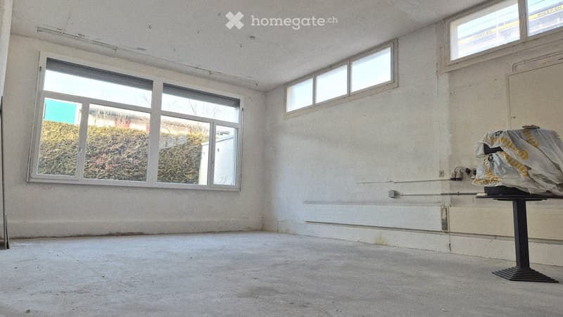 Empty room with white walls, grey concrete floor, windows with view on outside