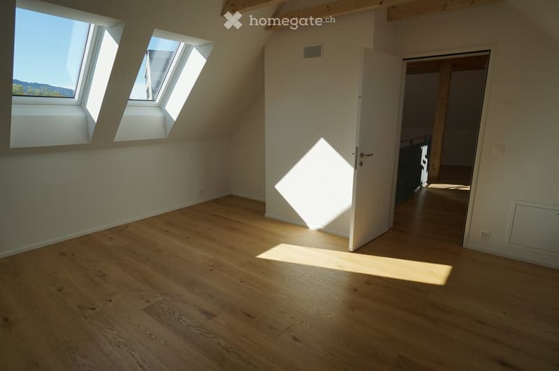 empty attic room with skylights and wooden floor