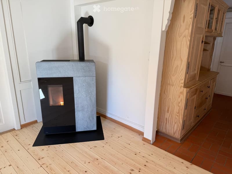 Fireplace in corner, wooden floor, modern cabinet
