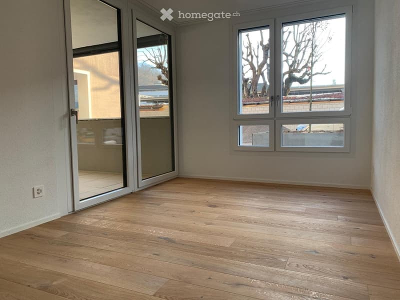Wooden floor, white walls, glass doors, sliding windows, balcony, power outlet