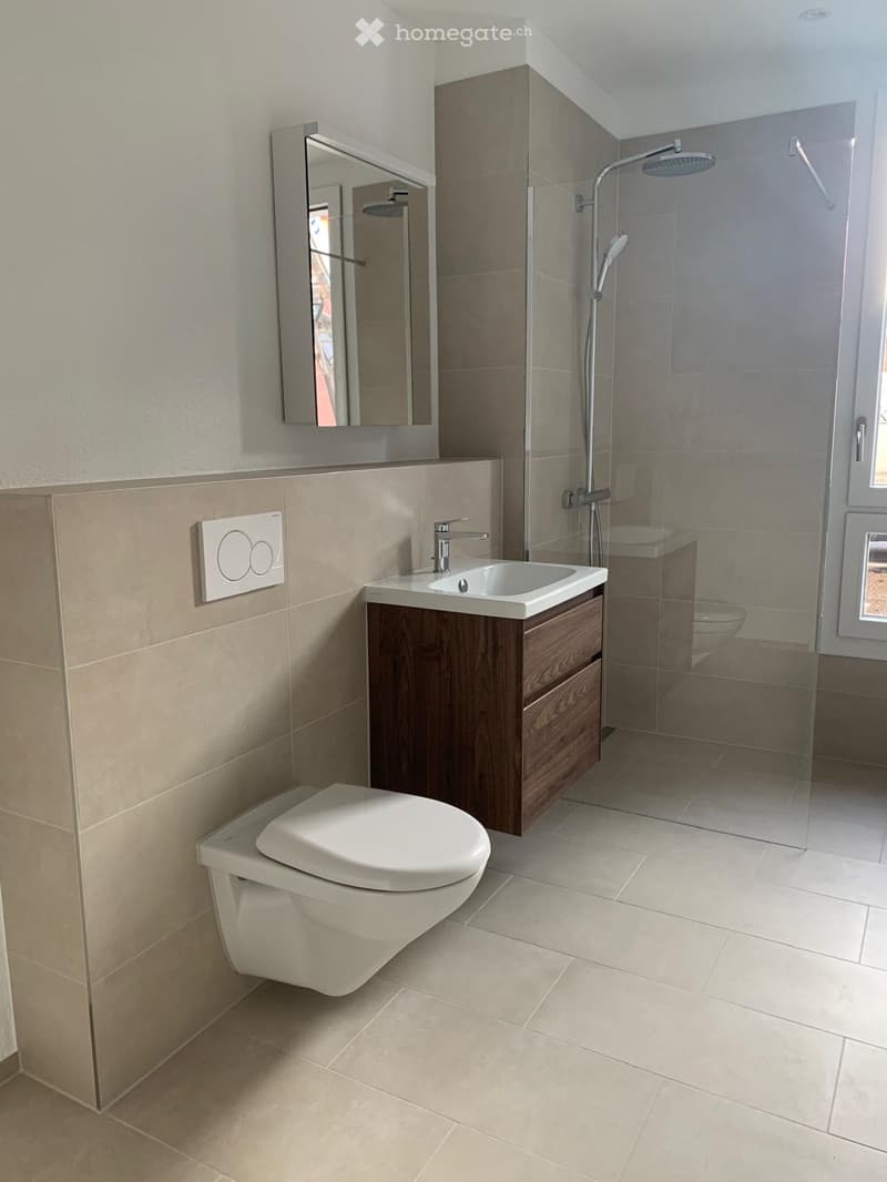 Bathroom with walk-in shower, sink with wooden cabinet, mirror, wall-mounted toilet, toilet bowl, tiles