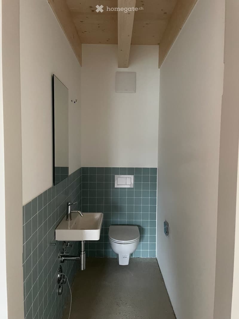 small bathroom with toilet, sink, mirror, and green tiles