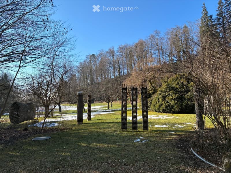 large grassy field with trees, small path, snow patches, and large tree trunks in different heights