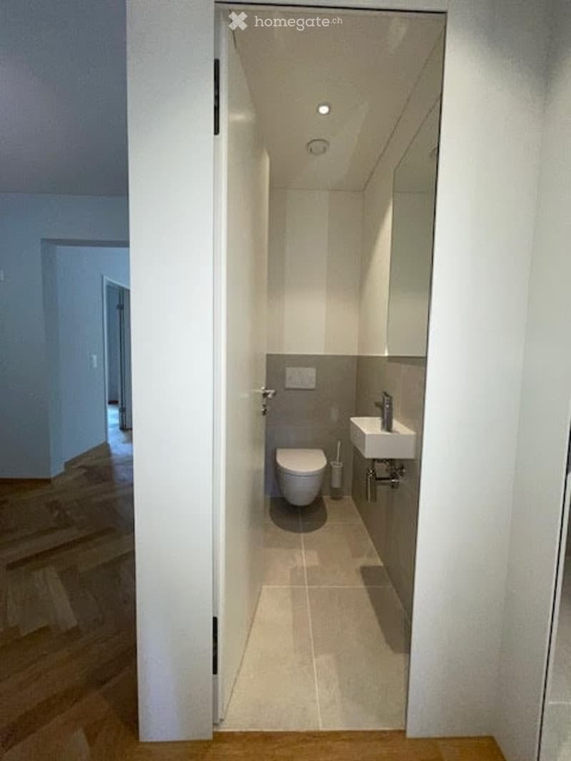 small bathroom with toilet, sink, mirror, and wooden floor