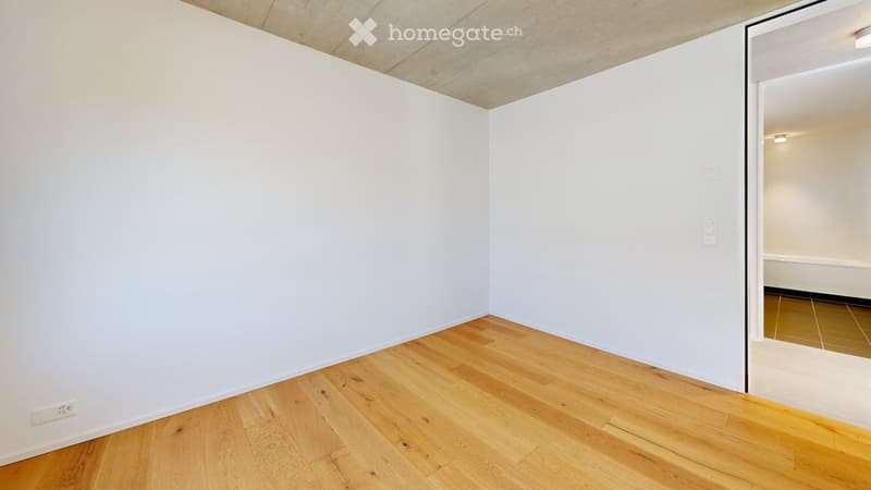 Empty room with white walls, wooden floors, ceiling lamp, wall outlet