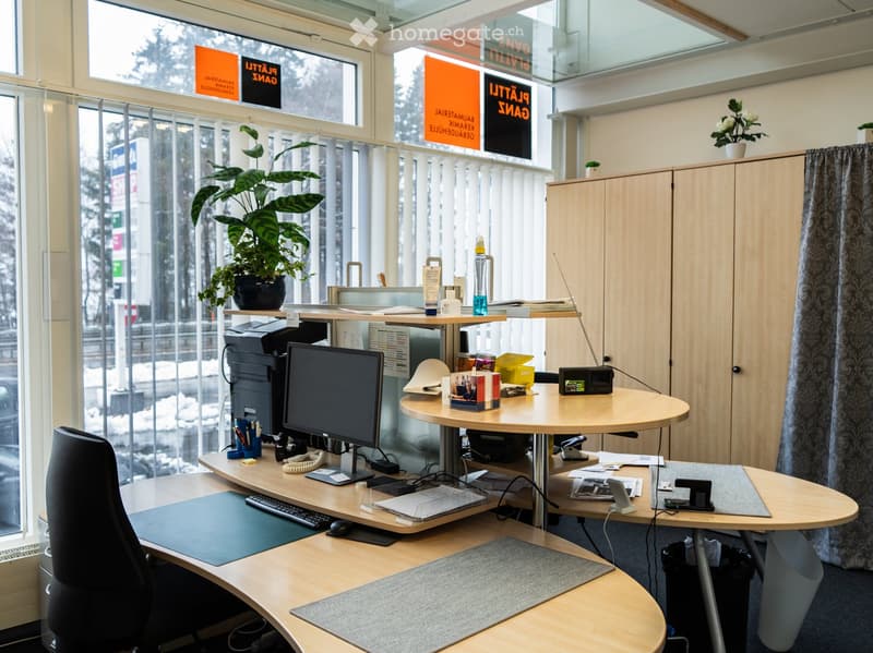 Office: two round desks, computer monitor, keyboard, mouse, office chair, storage cabinet, potted plants, large windows