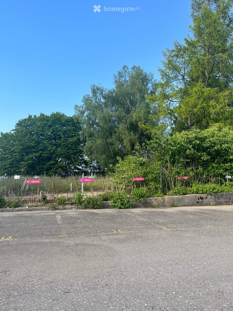 {"type": "Parking place", "objects": [], "description": "Empty parking lot with marked spaces, surrounded by greenery and a concrete barrier.", "localized_descriptions": {"EN": "Empty parking lot with marked spaces, surrounded by greenery and a concrete b
