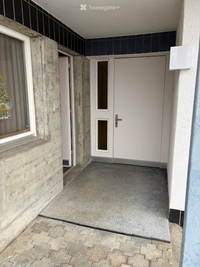 Concrete walls, gray tile floor, double white doors, tiled side panels, gray mat at entrance