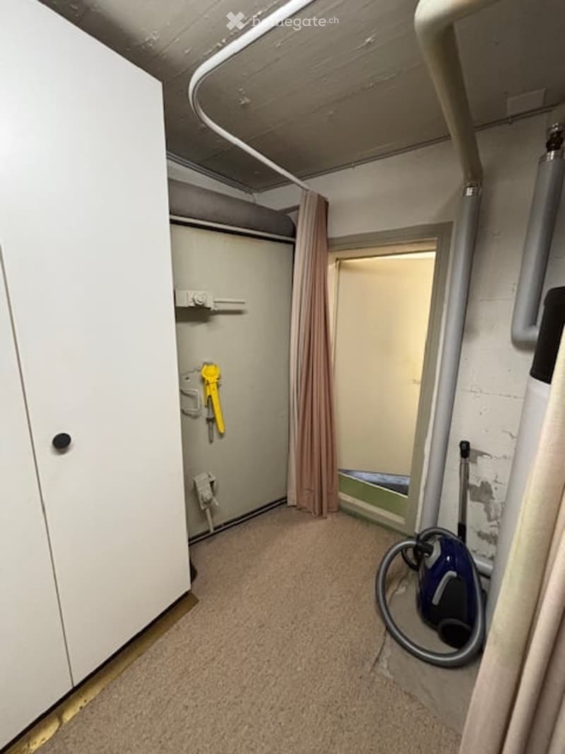 Storage room with carpeted floor, closet, door, curtains, vacuum cleaner
