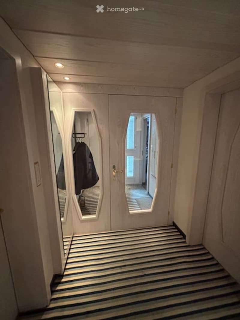 A hallway with white walls and doors, and a striped carpet floor. A coat is hanging on a hook on the mirror, and there is a window on the door. The hallway is bright and has a modern design.