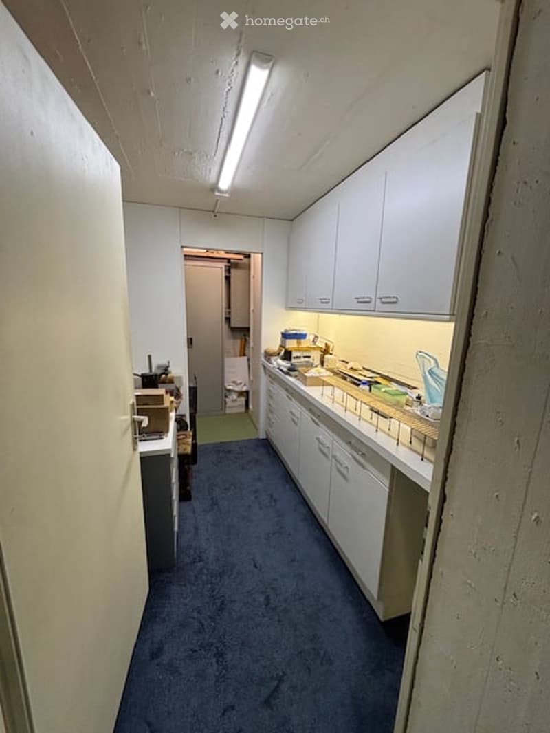 A corridor with white cabinets, blue carpet, and a fluorescent light