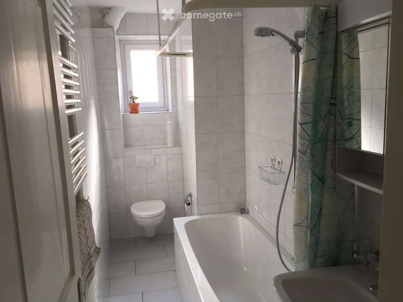 modern bathroom with toilet, bathtub, sink, shower, white tiles, window with potted plant, towel rack