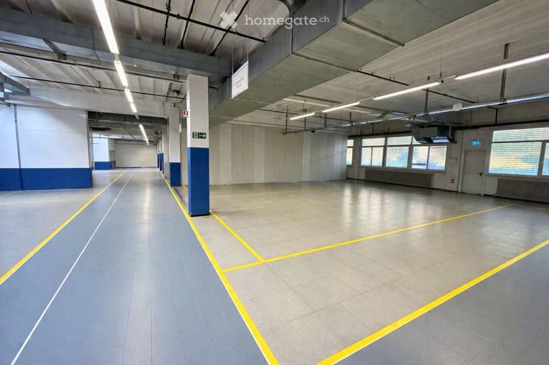 spacious warehouse, high ceilings, well-lit, blue and yellow painted parking spaces, windows, pillars