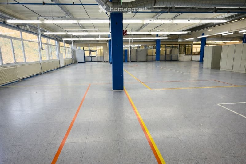Open space area, large white tiled floor, fluorescent lighting, blue pillars, large windows, white markings