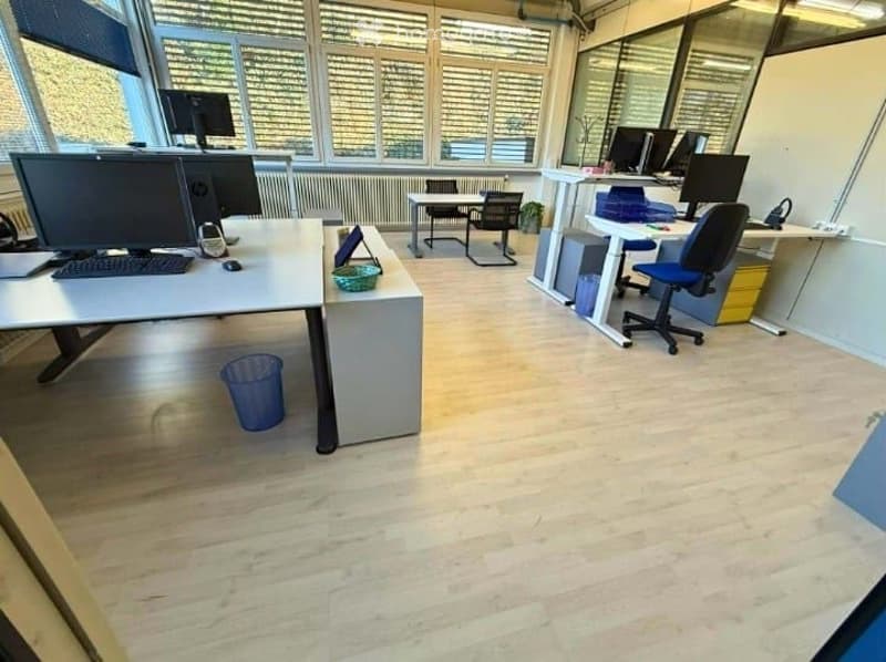 Office space with hardwood floors, glass windows, office desks, office chairs, computer monitors, radiators, trash bin, and potted plant.