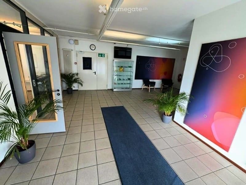 tiled floor, blue carpet, two doors, potted plants, a clock on the wall, office chairs, a glass shelf