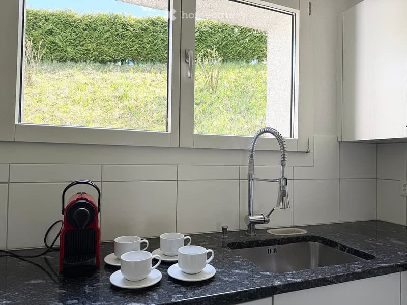 {"visible_features": ["View"],    "type": "Room",    "description": "modern kitchen with granite countertop, stainless steel sink, faucet, coffee machine, white cups and saucers",    "localized_descriptions":        {        "EN": "modern kitchen wit