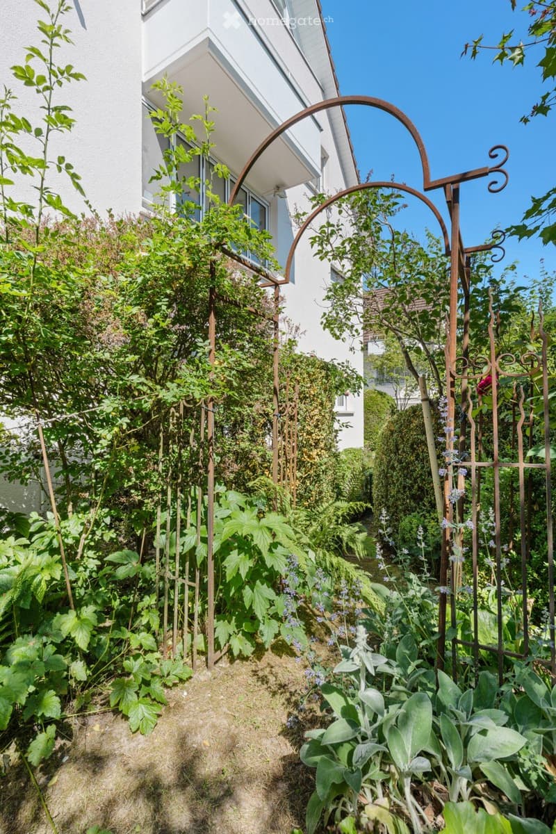 A lush garden area with climbing plants, a decorative metal archway, and a white building in the background.