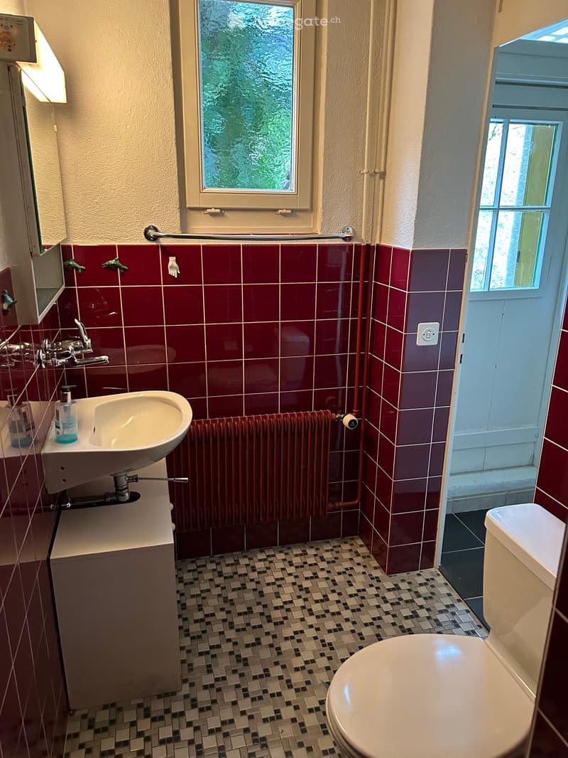 white porcelain sink, dark red wall tiles, white toilet, silver towel rack, a red radiator
