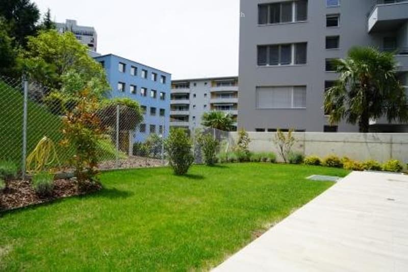 Small garden with grass, trees, bushes, concrete pathway, white and gray walls, buildings in the background