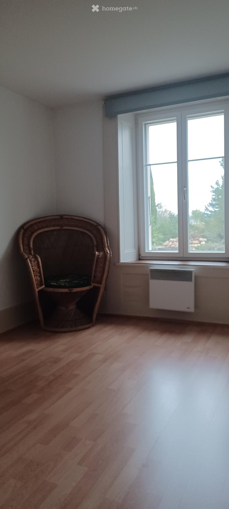 room with wooden floor, large window, wicker armchair, no decorations