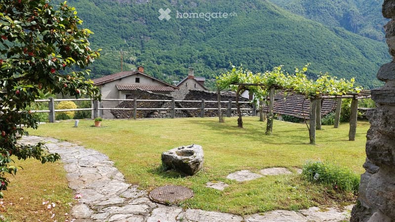 fenced garden, stone pathway, plants, small rock fountain, grapevines, large mountain in background