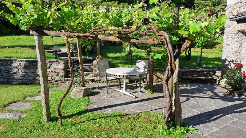 Stone paved terrace with table, chairs under the vine, flowers on the side