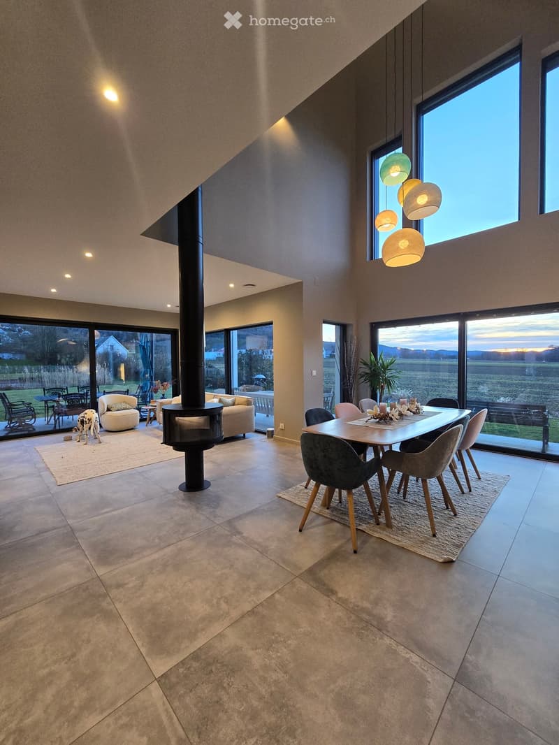 Open-plan living space with dining and seating area, large windows, decorative lamps, wooden dining table, fireplace, rug, large terrace with outdoor seating.
